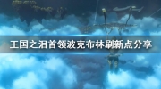 《塞尔达传说王国之泪》攻略——首领波克布林刷新点攻略